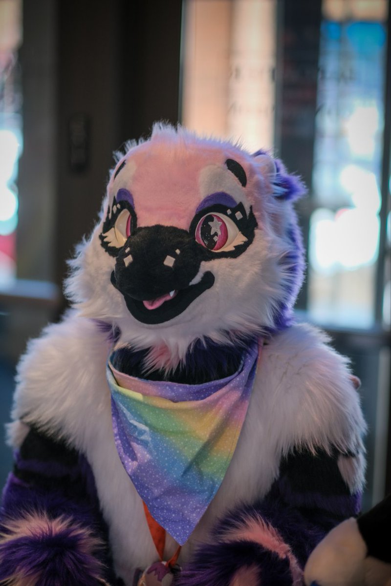 fursuiting when grouchy- how I feel inside my suit vs what everyone sees