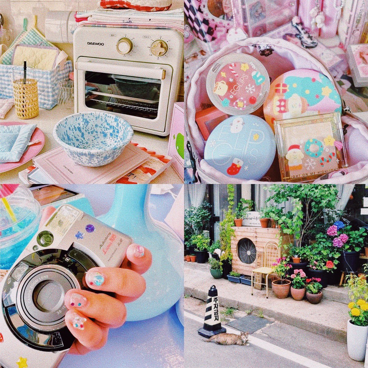matahari 💗 tweet media