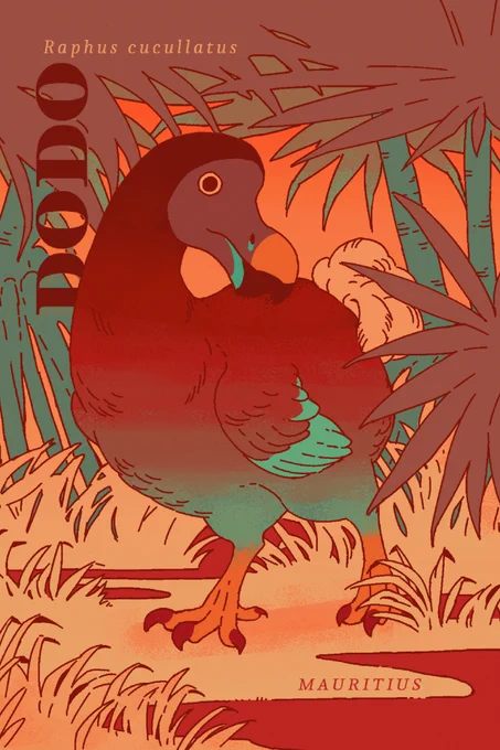 Dodo! 