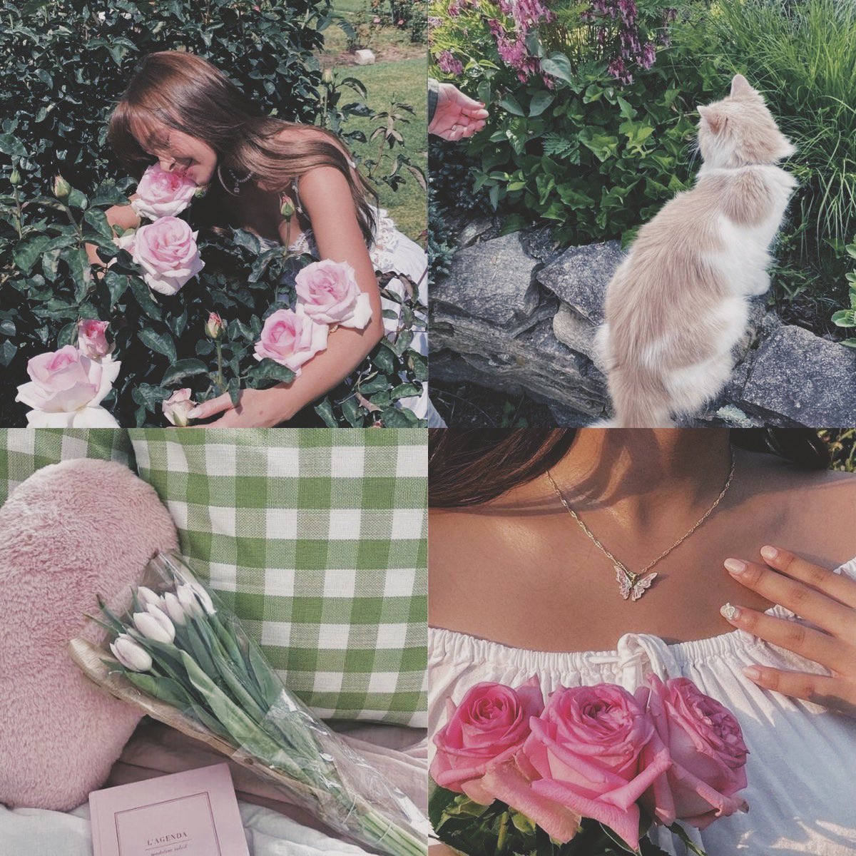 matahari 💗 tweet media