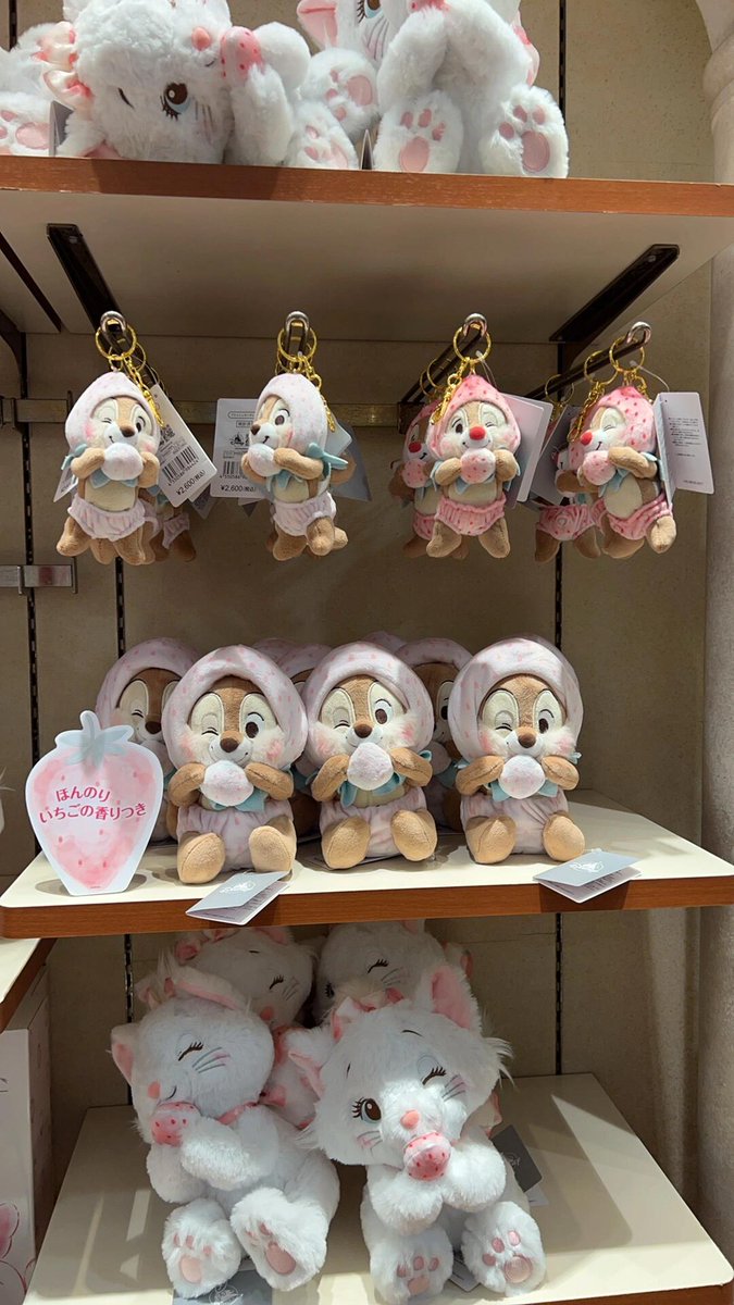 pamuchi_db_008's tweet image. かわいいぬいぐるみがたくさんいます✨💗
全部持って帰りたいですね😳
