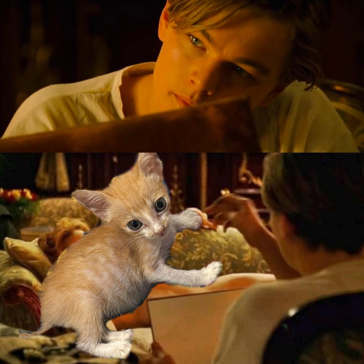 <a href="/lagarzasosa_/">Puchi</a> Dorito está tipo: Dibújame como a tus michis franceses