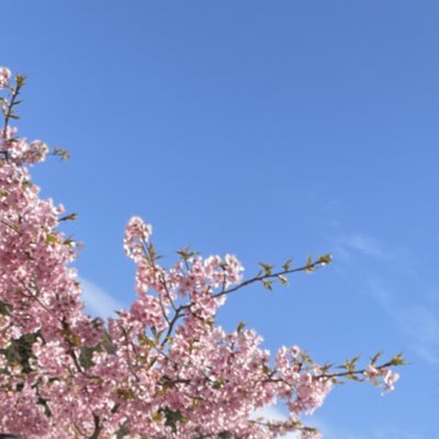 uuuki7a's tweet photo. #新しいプロフィール画像 https://t.co/QHaEYBpz0E