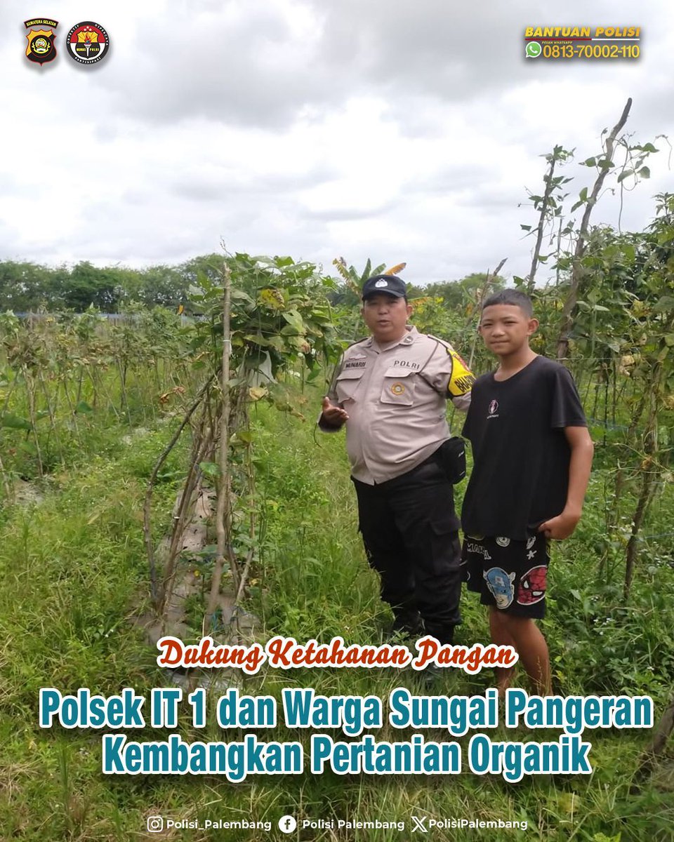 Dukung Ketahanan Pangan, Polsek IT 1 dan Warga Sungai Pangeran Kembangkan Pertanian Organik 

Polrestabes Palembang melalui Bhabinkamtibmas Polsek IT 1 Kelurahan Sungai Pangeran, Aipda Munardi, S.H, aktif mendampingi warga dalam pengelolaan lahan pertanian di Jl. Papera,