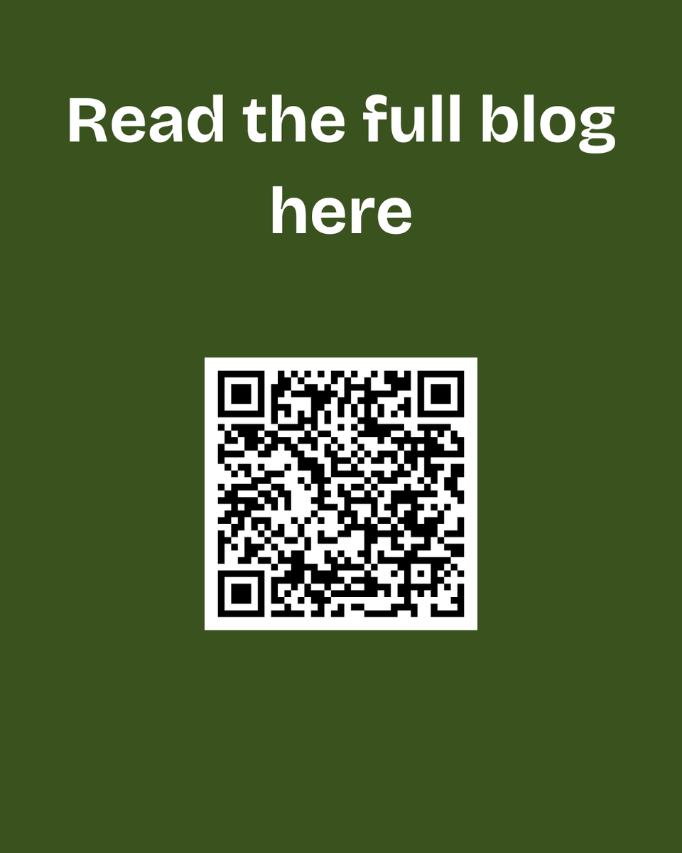 _GLSolutions_'s tweet image. &quot;Celebrating the success of our Fall 2024 Bootcamps! 🎉 Over 14 weeks, four groups of dedicated Solutioneers tackled innovative projects in the sustainability space, driving real impact. 🌍💡 #Sustainability #Innovation #Solutioneers #BootcampSuccess&quot; #sdg12 #sdg13
