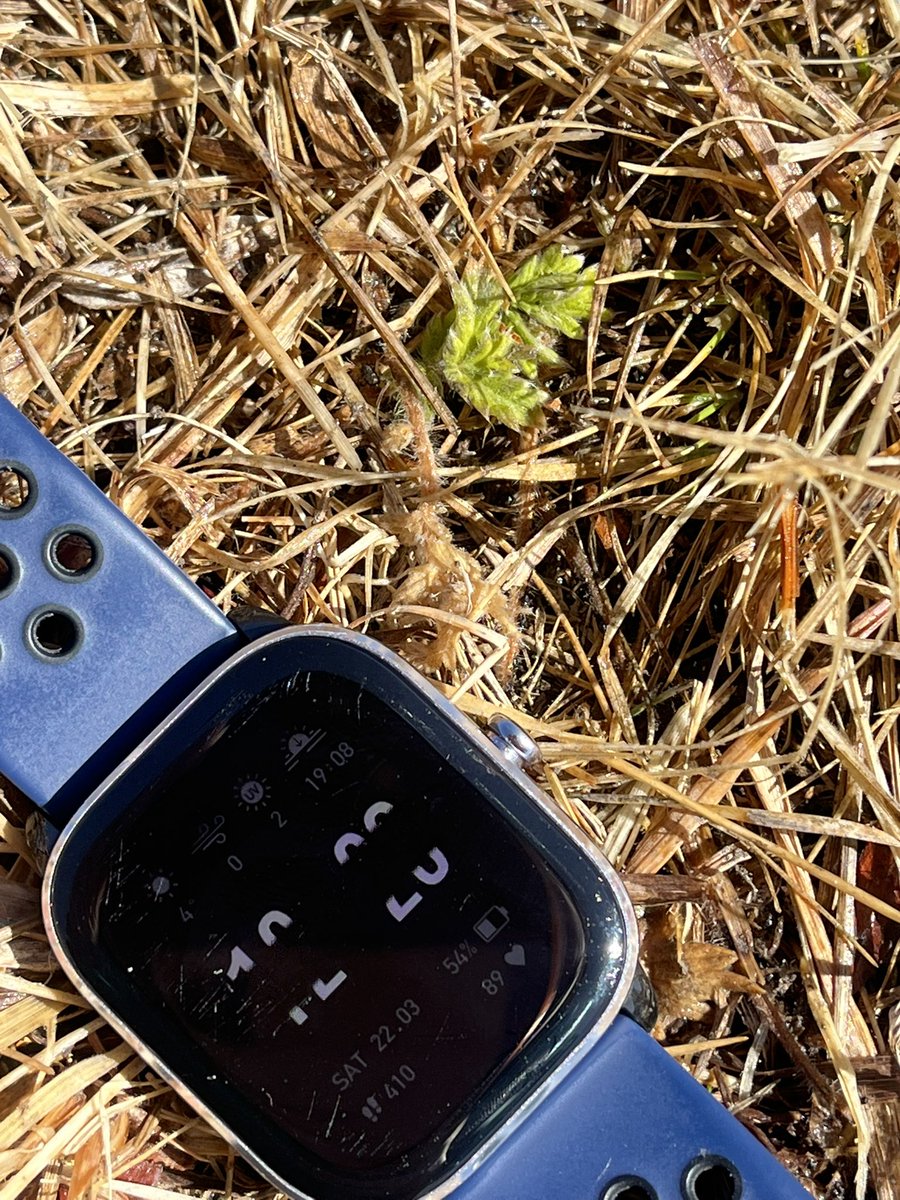 jj_oyun's tweet image. Энгэр ээвэр, нөмөр газар ногоо цухуйж эхэлж байна.Аалз ялаа түм бумаараа ... 

#springishere #зусланVibes 🌱 🌱 

Эргэх дөрвөн улиралд жавар уясахыг, бороо шиврэхийг, навч шарлахыг, цас орохыг хүлээн хүлээн амьдарч байнаа...