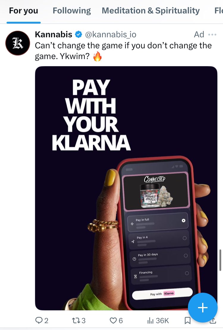 Klarna is financing everything now.
