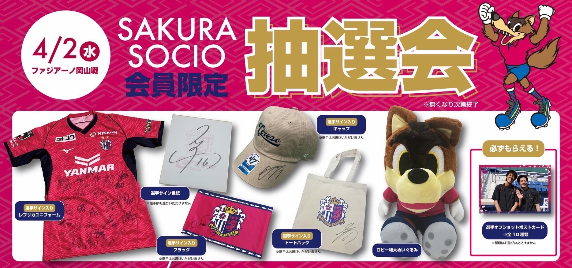 セレッソ大阪オフィシャル on X: セレッソ大阪オフィシャル on X: