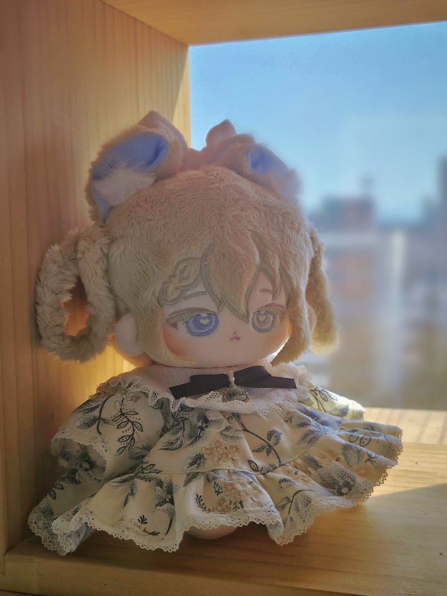 이렇게 좋은 날에는 예쁜 새 솜을 찍어줘야 합니다 치라치라 정말정말 실물파귀여움 max