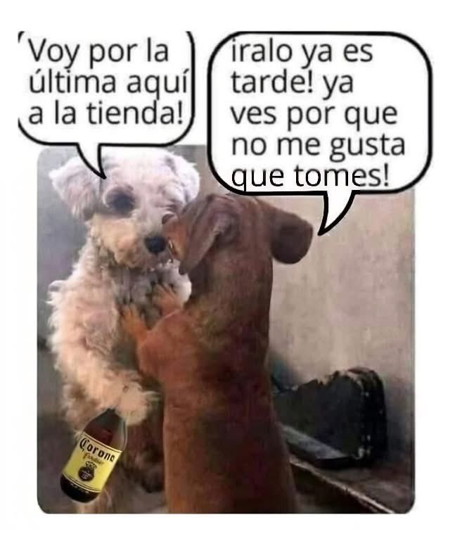 JJPEREZS's tweet photo. #cheves https://t.co/O6gxvoVihb