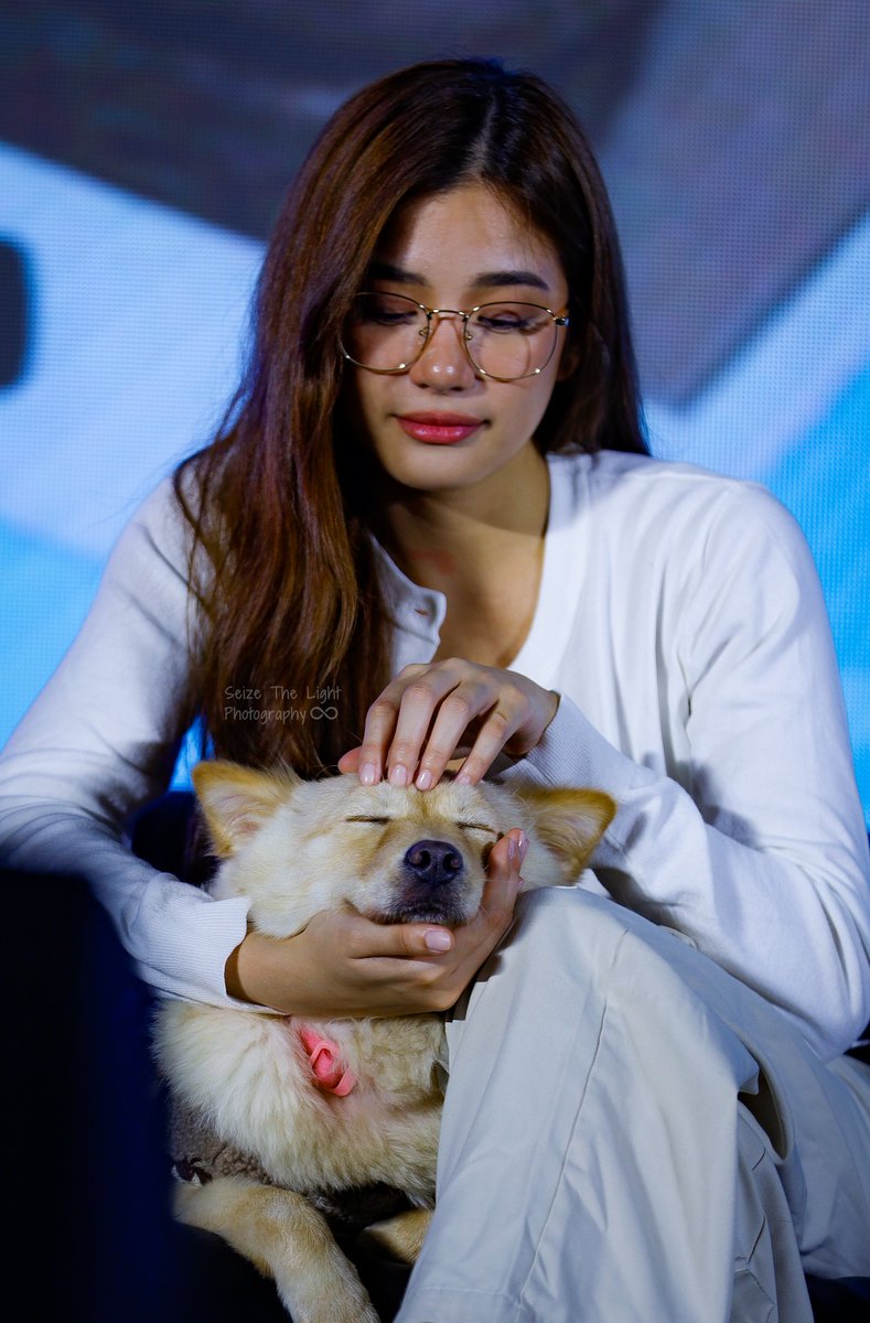 Archive-only tweet media