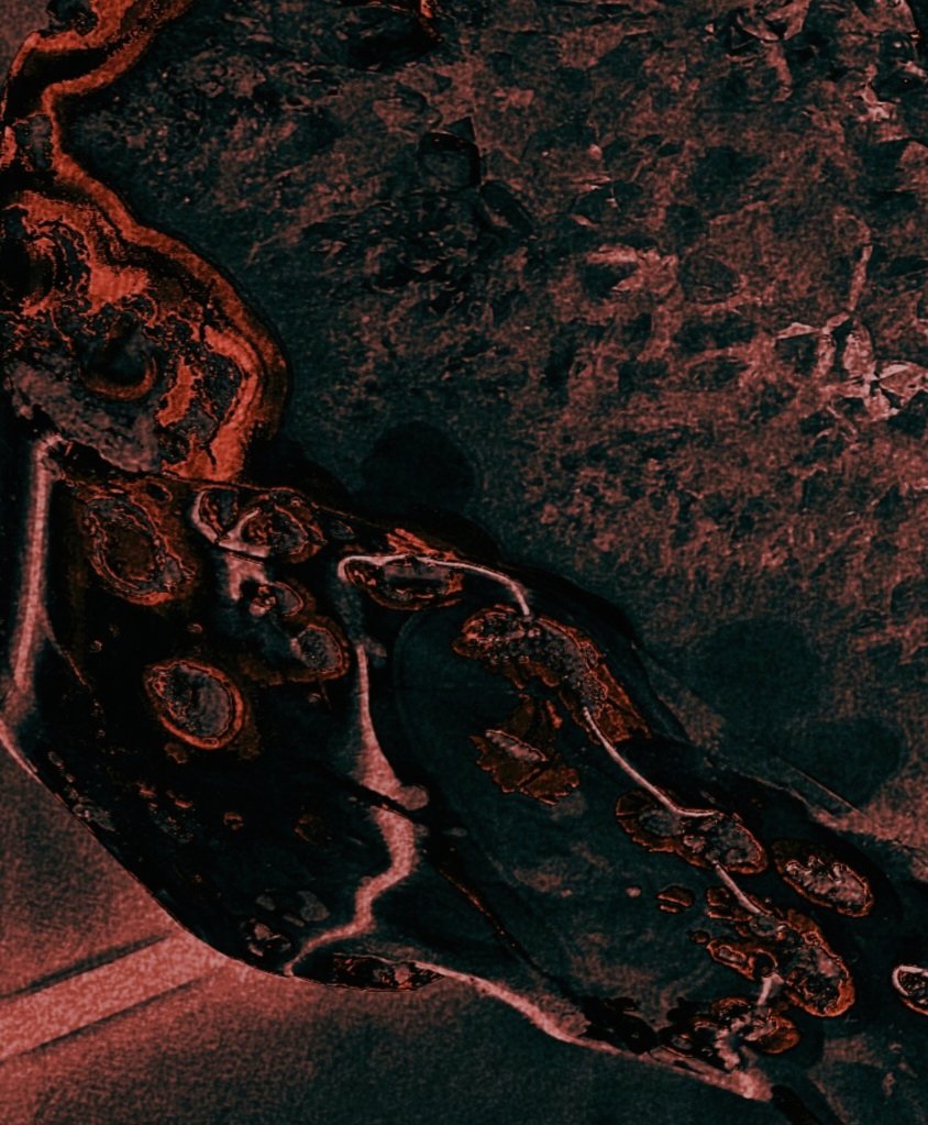 GM, art fam 🩸
Stopped in the interpretation of the textures.