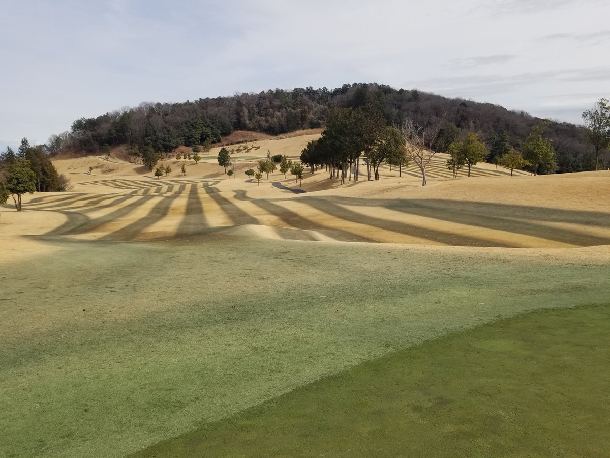 オリムピックナショナルGC-WEST tweet media