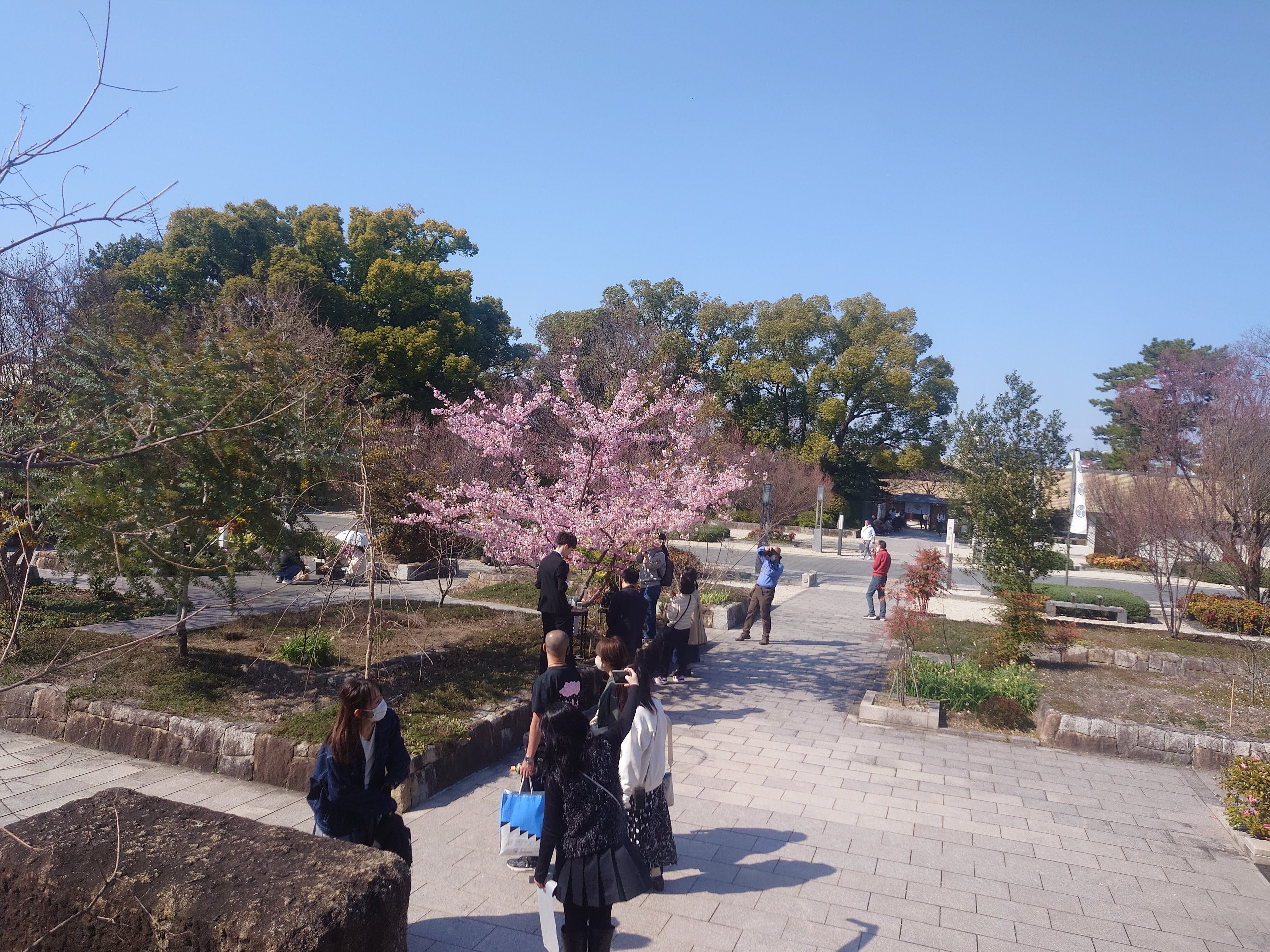 名古屋市蓬左文庫 (@HousaLibrary) / X 名古屋市蓬左文庫 (@HousaLibrary) / X