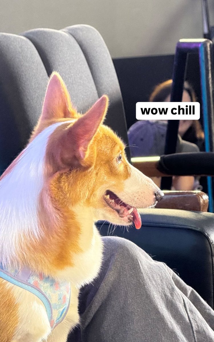 snapbackmikha's tweet image. MALOI NEW IG STORIES!