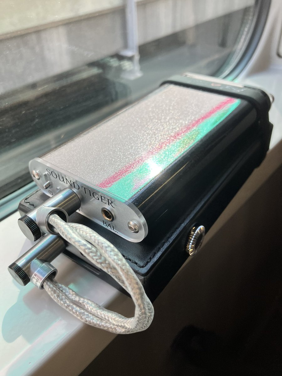 Sound Tiger Immersionを受け取って、オヤイデでパルシャット(お試し版)を買って離脱🚃 MEST mk3は今までポテンシャルを十分に発揮できてなかっただけだったからイヤホン買替は先送りかなー。はじめてミジンコさんの店舗に入ったけど、ジブリ映画の中みたいだった☺️