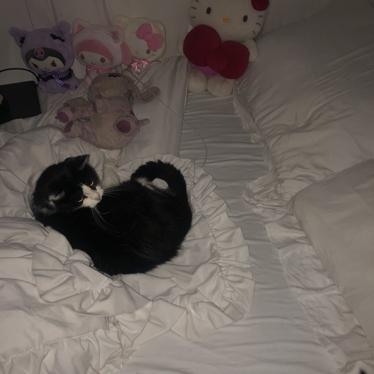 finally going to sleep with my bby! good night everyone ໒꒰ྀིっ˕ -｡꒱ྀི১