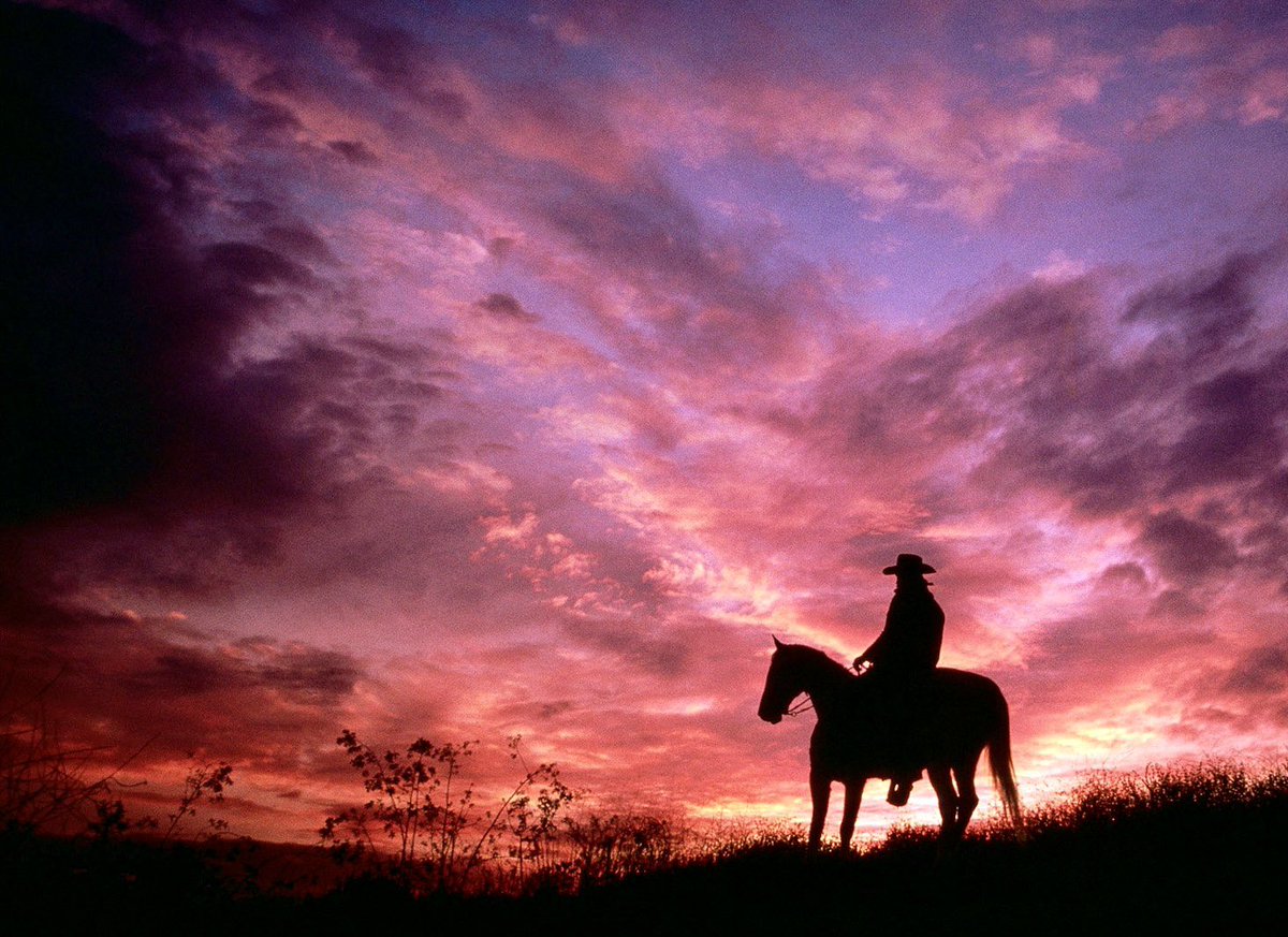stan_sdcollins's tweet photo. I was raised on my father’s hobby ranch in Colorado and learned many life lessons there. When a horse kicked you, kicking him back was never the solution. Finding out why he kicked you was. If more people knew this there would be fewer wars and folks dying every day. Peace folks! https://t.co/UpGGwUlDZQ