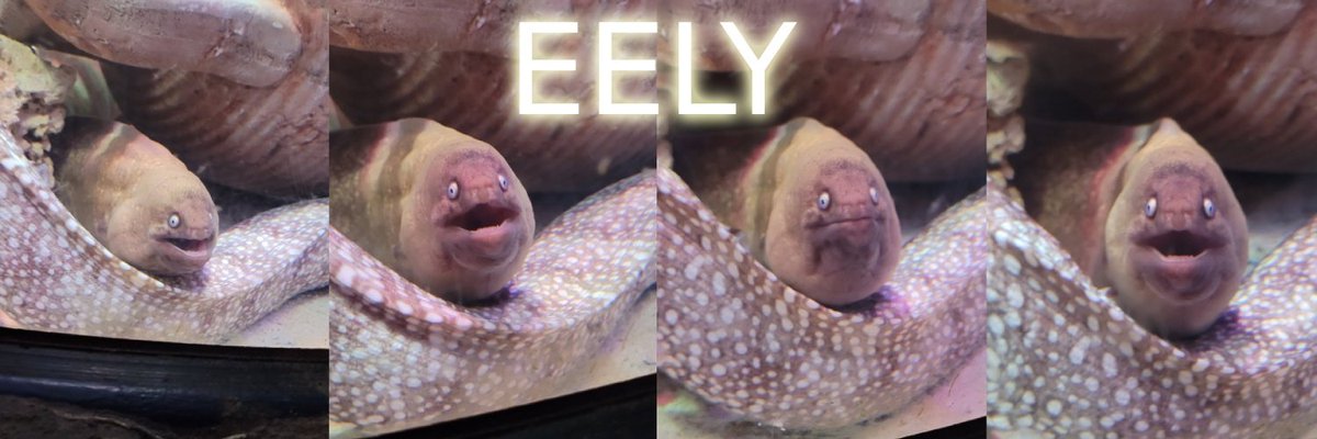 cromamba_sol's tweet photo. 5G6LHZajUxEEmL878ewRiCdFcoU2Z27sE9c5g5P3pump
eely (eely)
dex paid looking good to fly now https://t.co/qMtBiQfbKc