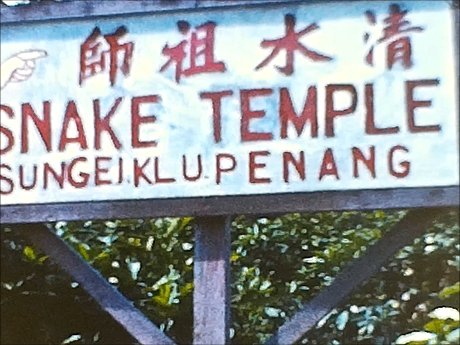 UnicornUnbound's tweet photo. An interesting end to the working week, with a visit to the Snake Temple in #Penang in the late 50s... despite all the poisonous snakes in the temple, don't think anyone has ever been bitten there (perhaps due to soporific incense being burned to sedate the snakes). #SnakeTemple https://t.co/slVxelj65X