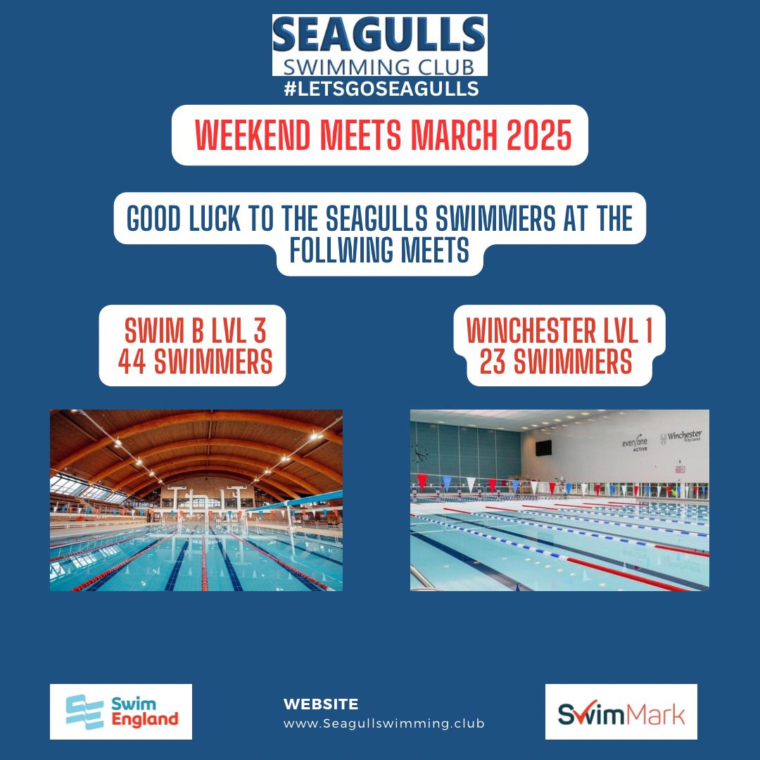 Seagulls (@seagulls_swim) on Twitter photo 
