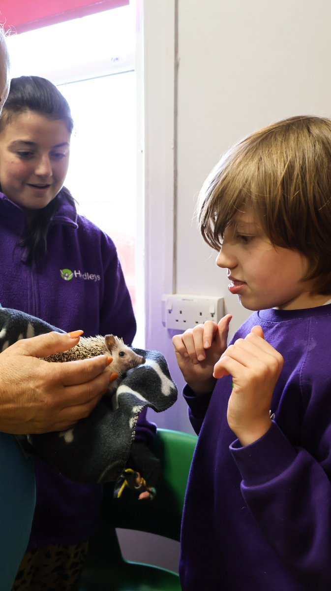 We had some special visitors this week! 

For their 'On Safari' topic, staff and students from Northern Counties dressed up and met some animals from Animal Antics. See if you can spot everyone's favourite! 

(Hint: it was definitely the hedgehog 🦔 ) 

#Animals #Education