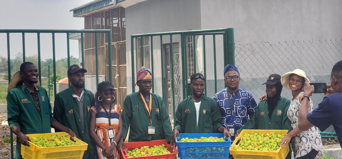 FarmerNimi01's tweet photo. One of the happiest moments of a farmer is harvest period
I'm glad to be a participant of the #iyouth project by #iita in conjunction with #mastercardfoundation
#sframlab https://t.co/m1oVzpeCwX