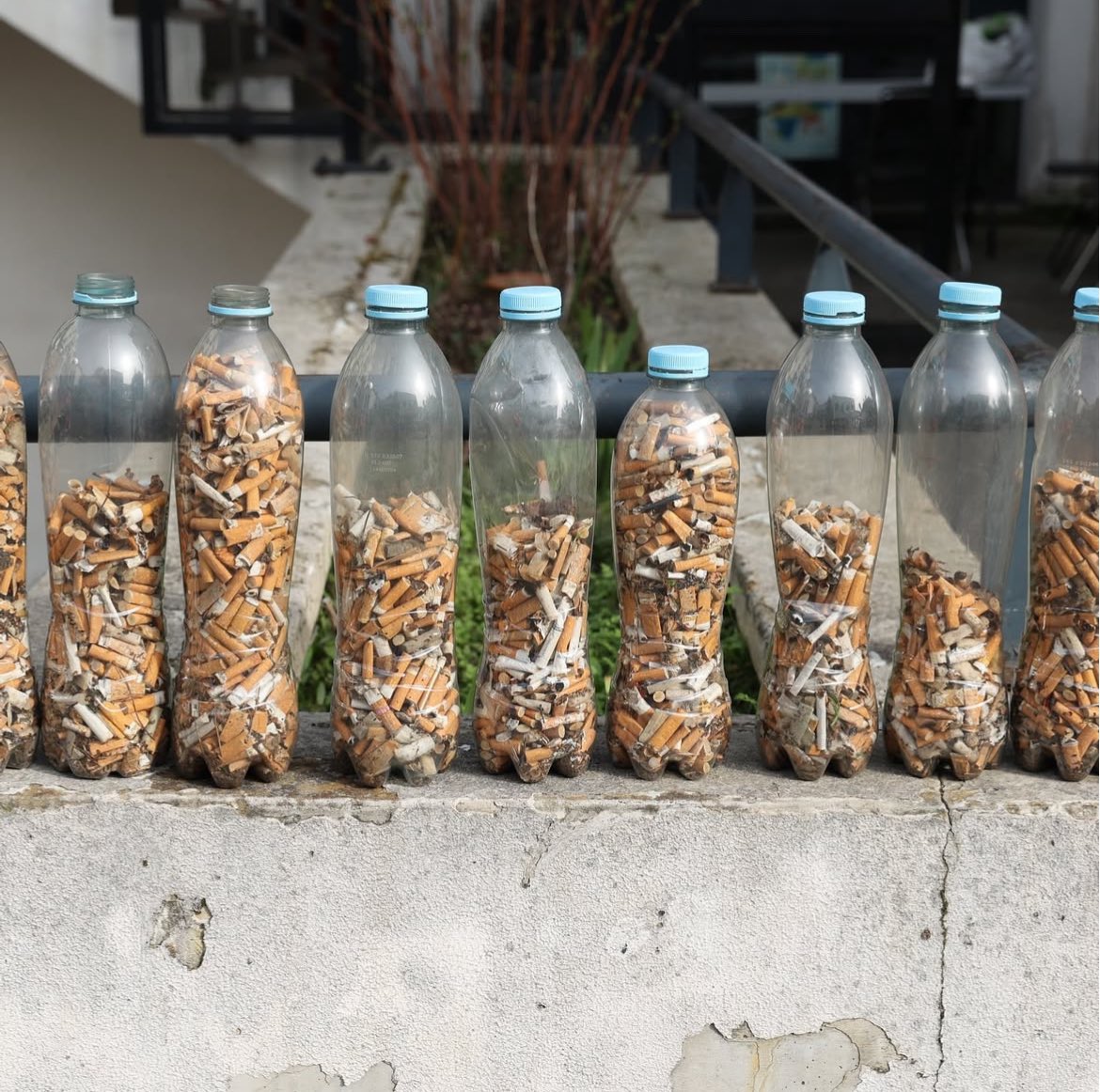 CEBIJE tweet media