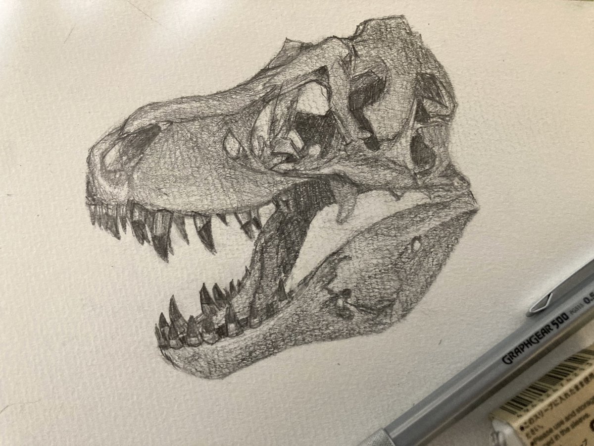 たまゆら tweet media