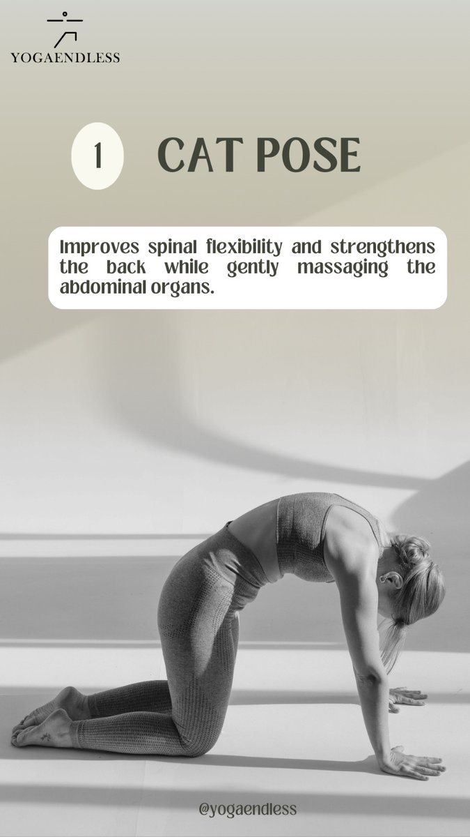 YogaEndless's tweet photo. If you're new to yoga, these beginner-friendly poses are a great way to ease in:

Yoga is not about touching your toes; it’s about what you learn on the way down. Which pose is your go-to for relaxation? Share in the comments! 👇😊 #YogaForBeginners #MindfulMovement https://t.co/ZPfaO46aAs