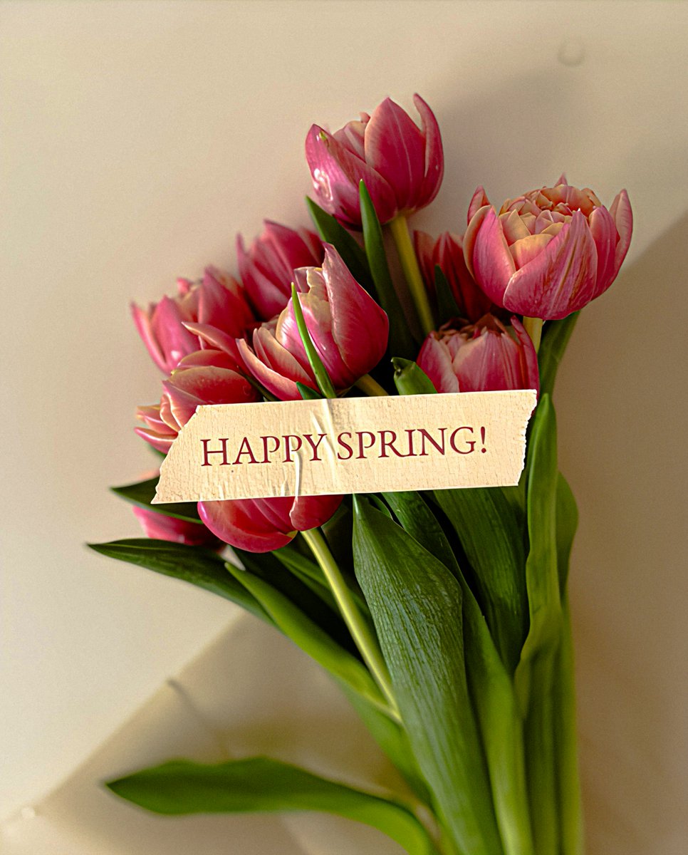 CDFR_INFO's tweet photo. 🌷 HAPPY SPRING! A season of renewal, hope, and strength! 🌍

As the world awakens, we continue our fight for justice, freedom, and human dignity. From Sweden to New York to Ireland, we fight for a world where rights are protected and voices are heard.  #CDFR https://t.co/7GfRr03RZx