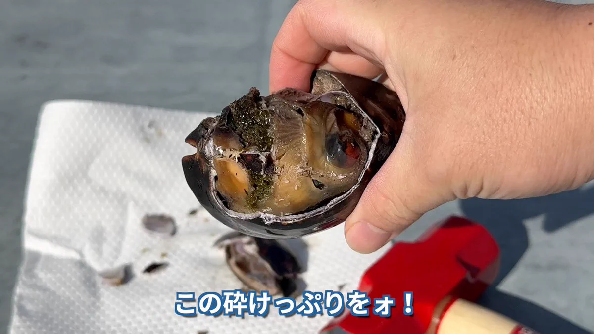 茸本 朗(たけもとあきら) 「野食ハンター茸本朗ch」公開中!! on X