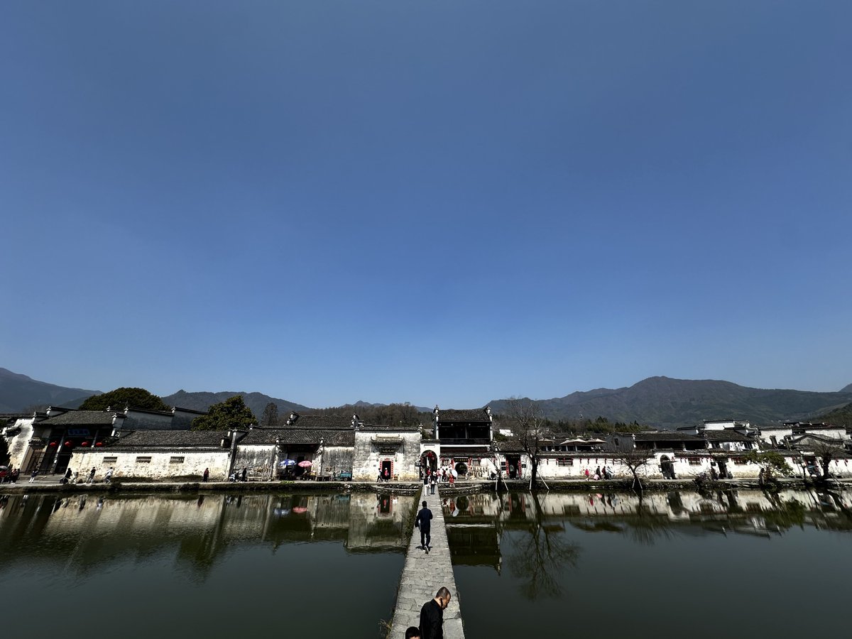 しゅん🦭 tweet media