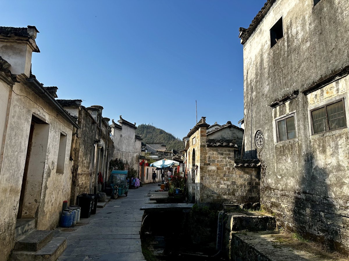 しゅん🦭 tweet media