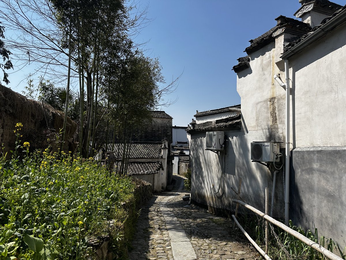 しゅん🦭 tweet media