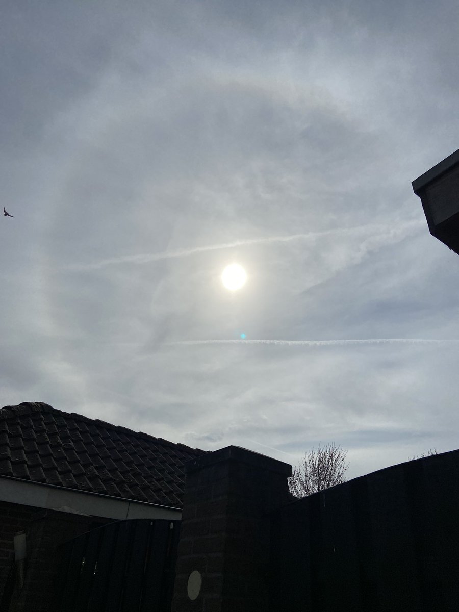 wakkerwordenaub's tweet image. De afgelopen dagen ongeveer dezelfde temperaturen. Stralende blauwe lucht. Strak zonnetje. Dit zijn geen natuurlijke wolken. Als je goed kijkt is er een sluier gecreëerd. En ivm de andere dagen zie je het blijven van vliegtuigstrepen terwijl het best hard waait. 
#sunblocking
