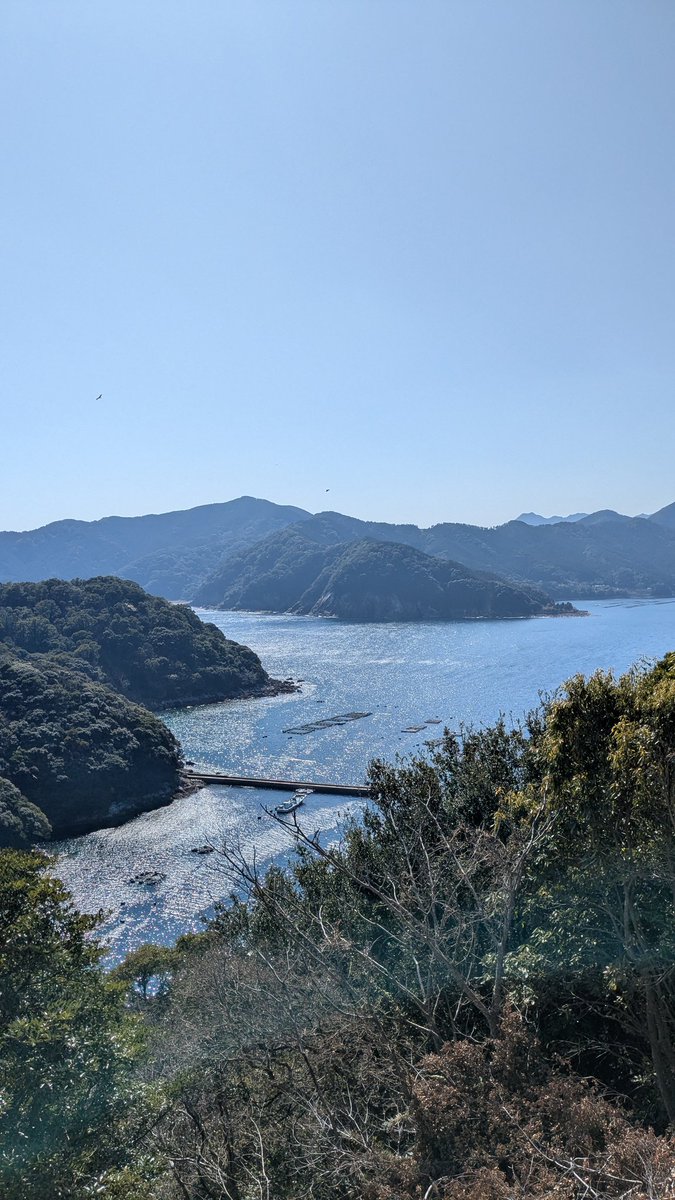 kuronagimaruru's tweet photo. 本日のおバイク
国道169号を南下→国道311号賀田湾沿いをぶらり。すっかり春の陽気、走れて良かった〜
#ハーレー
#ファットボーイ
#賀田湾
#R311
#R169 https://t.co/y5pk3E2DL3