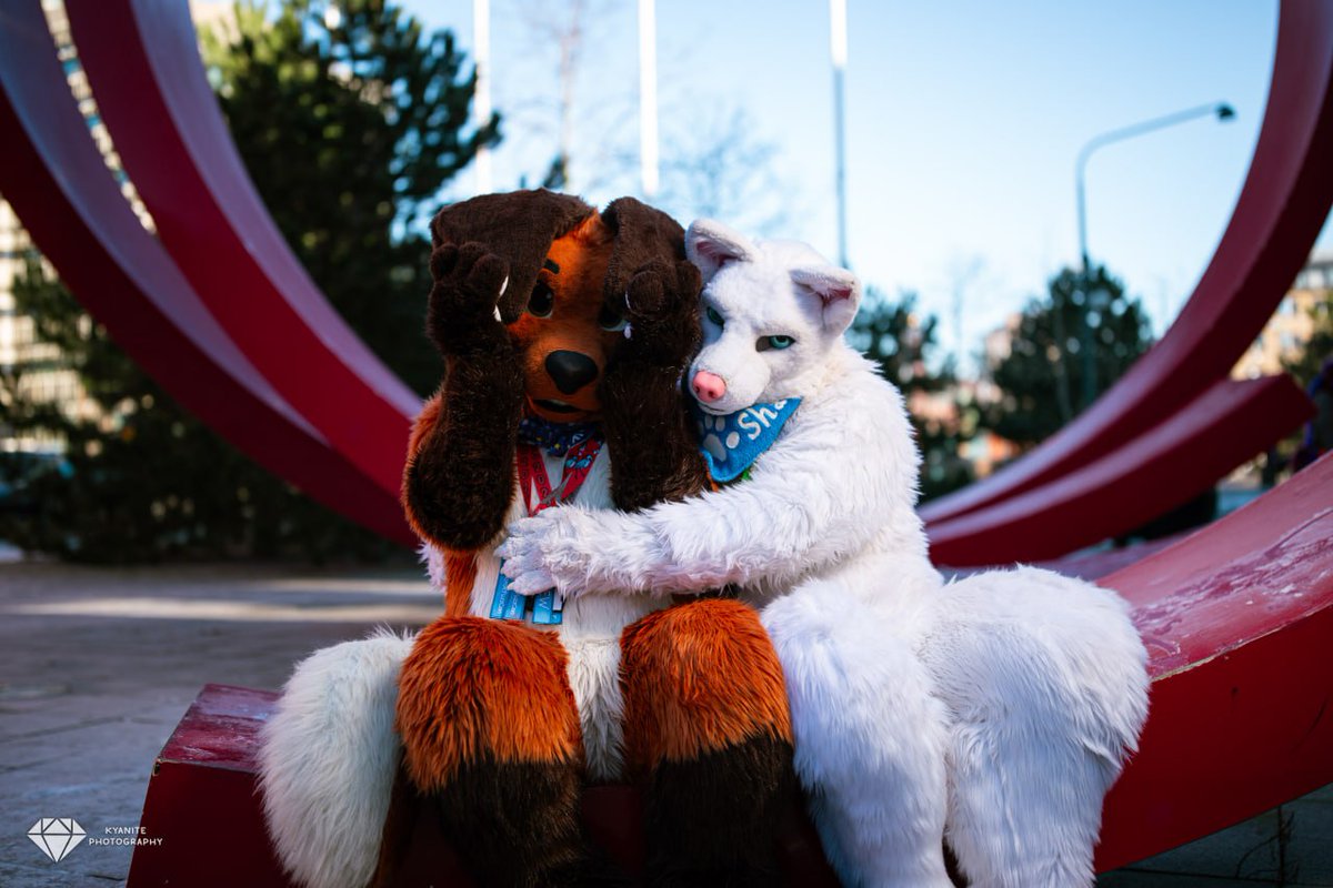 Shane_the_Wolf's tweet image. Such a foxtastic Saturday ;) 
🦊 @Timmyfox
🐺 @Shane_the_Wolf
📸kyanitephotography.com/nfc-2025
#NFC #NFC2025 #NordicFuzzCon #NordicFuzzCon2025