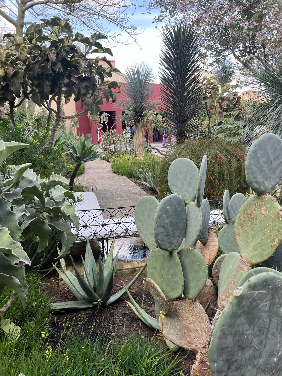 James Scott FSGLD tweet media