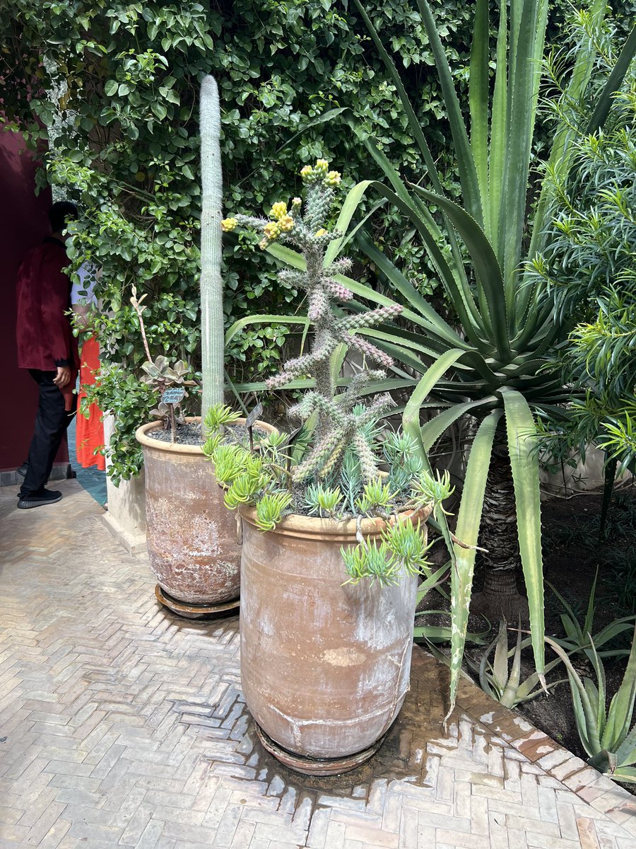 James Scott FSGLD tweet media