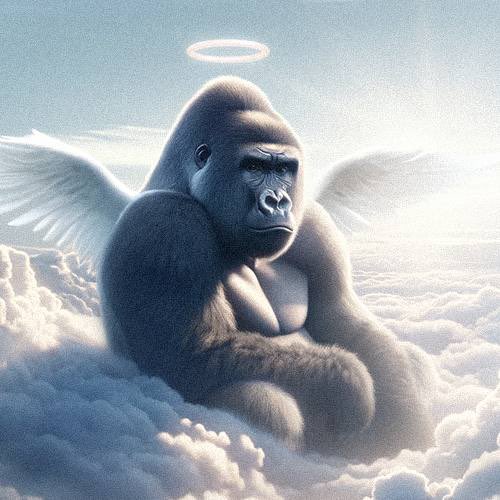 #Harambe The most Amazing Face Melting PUMP coming soon. 

Something GREAT is about to happen. 
Long Term Daily down trend is about to Break.
