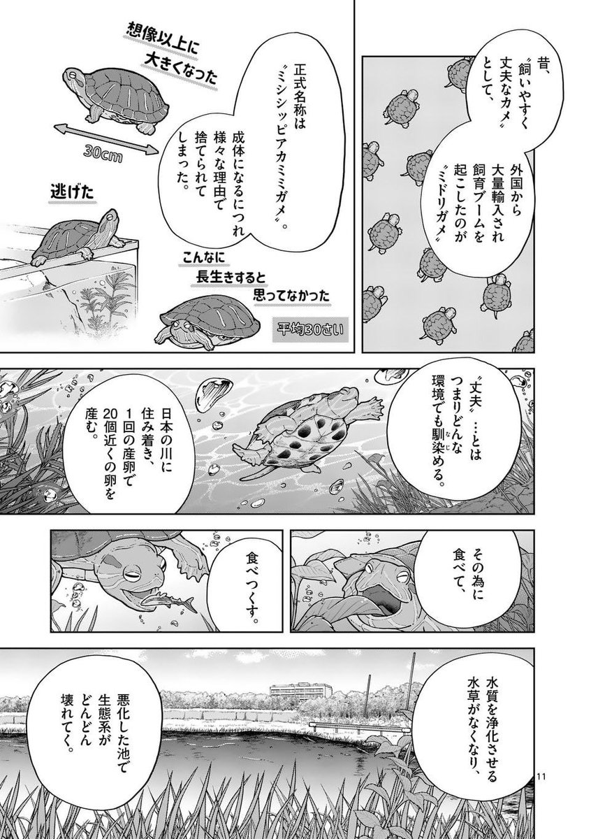 外来種は殺してもいいですか?(3/5) 