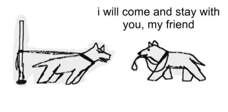 caninepoetry (@caninepoetry_) on Twitter photo 