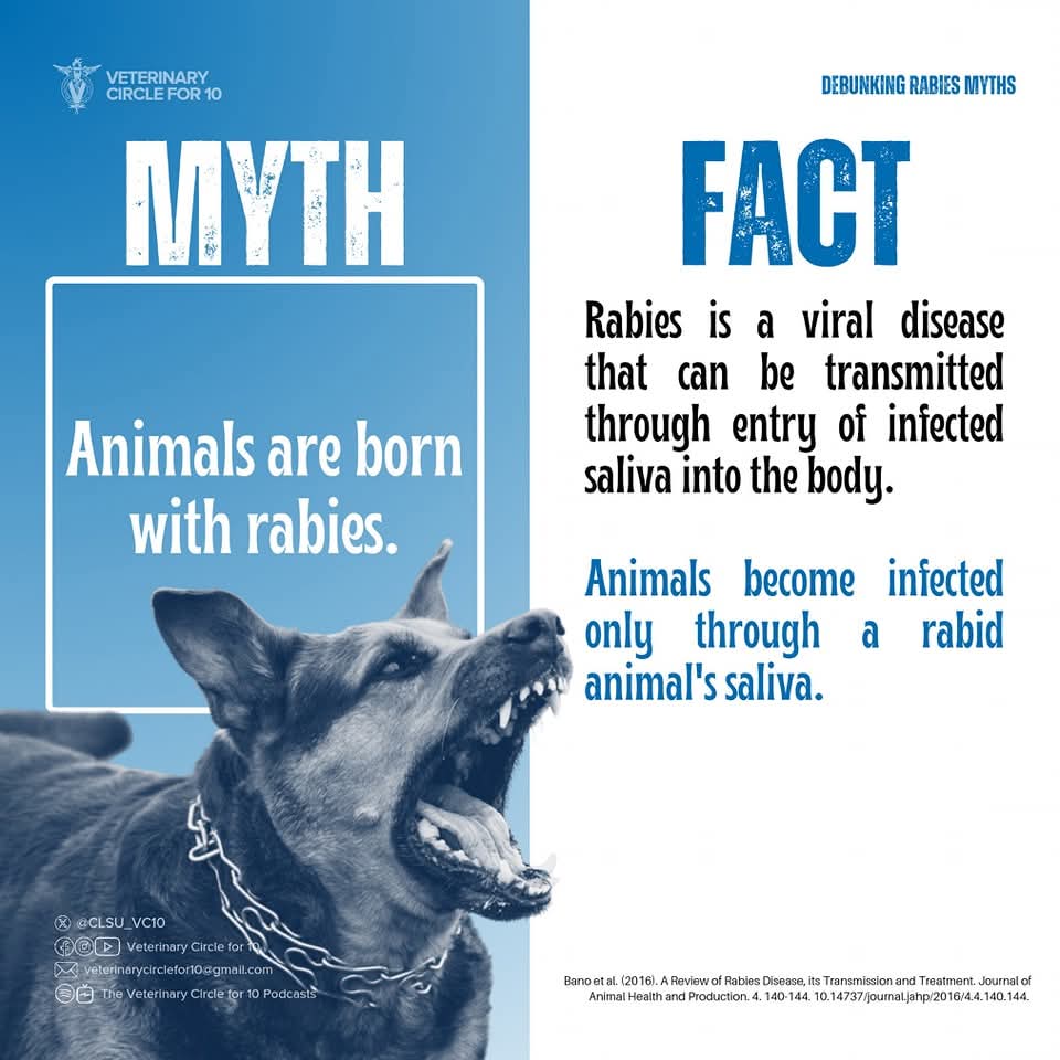 CLSU_VC10's tweet photo. In the Philippines, rabies continues to be a pressing health concern that goes beyond its deadly nature—its spread is fueled by deeply rooted myths. https://t.co/t6Q5YXExm1