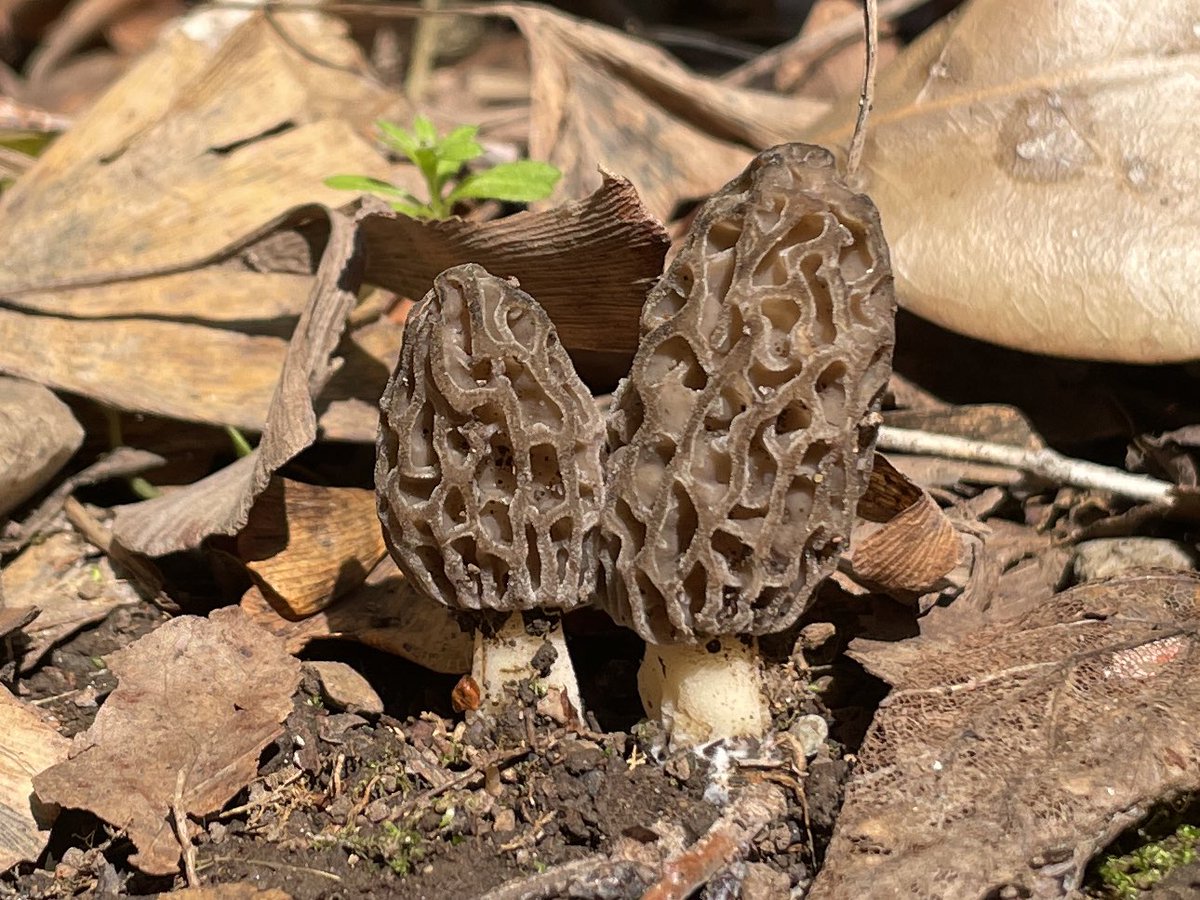 やまなか tweet media