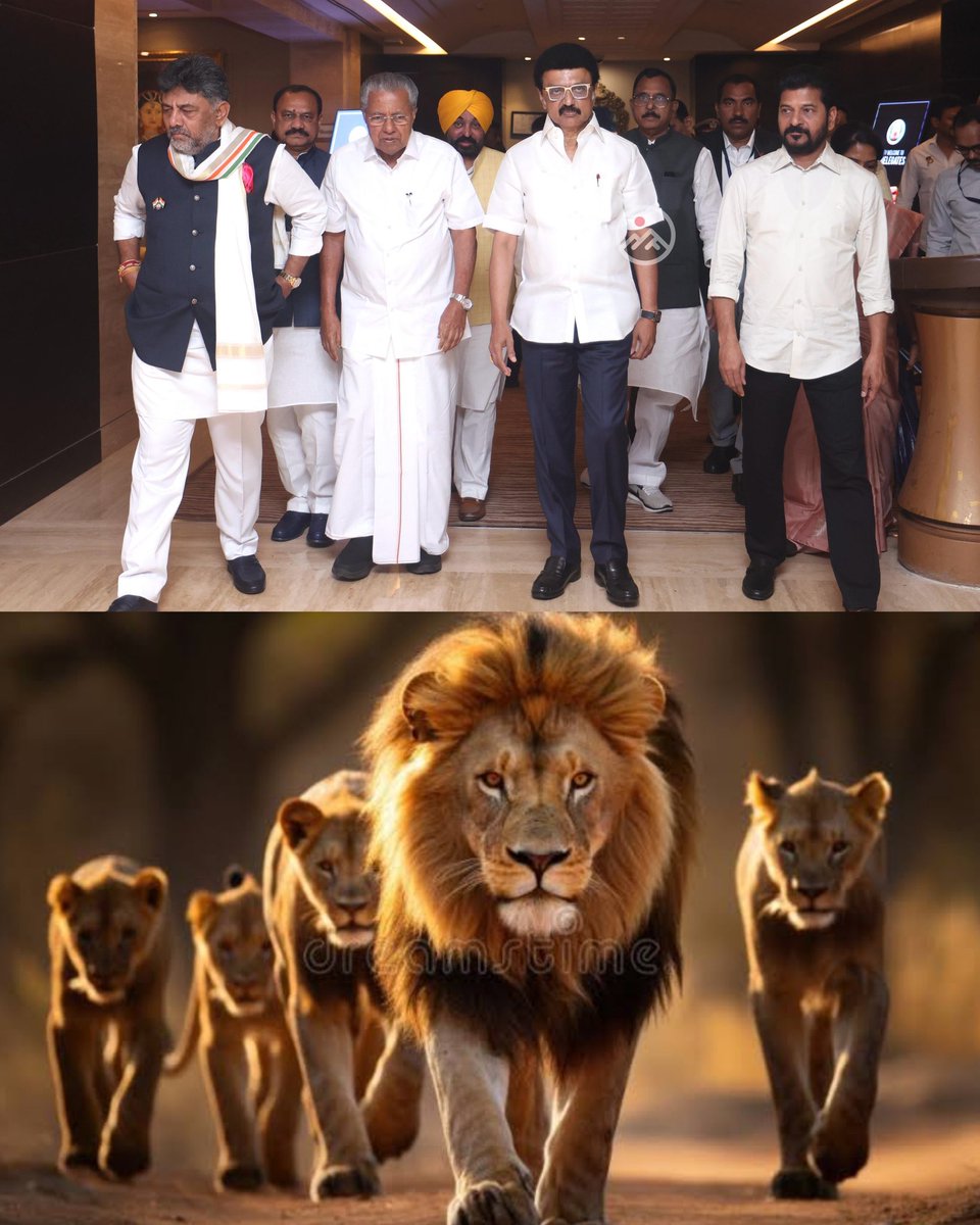 Joel_Dmk's tweet photo. #FairDelimitation என்ற உரிமைக்குக் குரல் எழுப்ப,

தெற்கில் இருந்து எழுகிறது,
தீர்வுக்கான குரல்!

💪🔥🦁💪