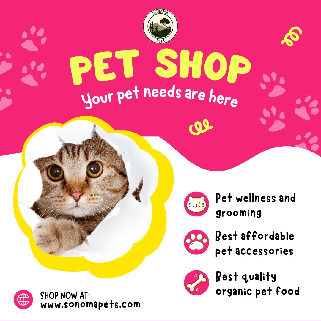 SonomaPets's tweet photo. At Sonoma Pets, we make pet parenting easy by offering adorable pets for adoption and top-quality products to keep your pets happy, healthy, and loved! 🐶🐱💖

🌐 Visit us at: https://t.co/5dpQIwXwqH

#SonomaPets #PetAdoption #FurryFriends #PetCare #AdoptDontShop #HealthyPets https://t.co/Fin12x0iv8