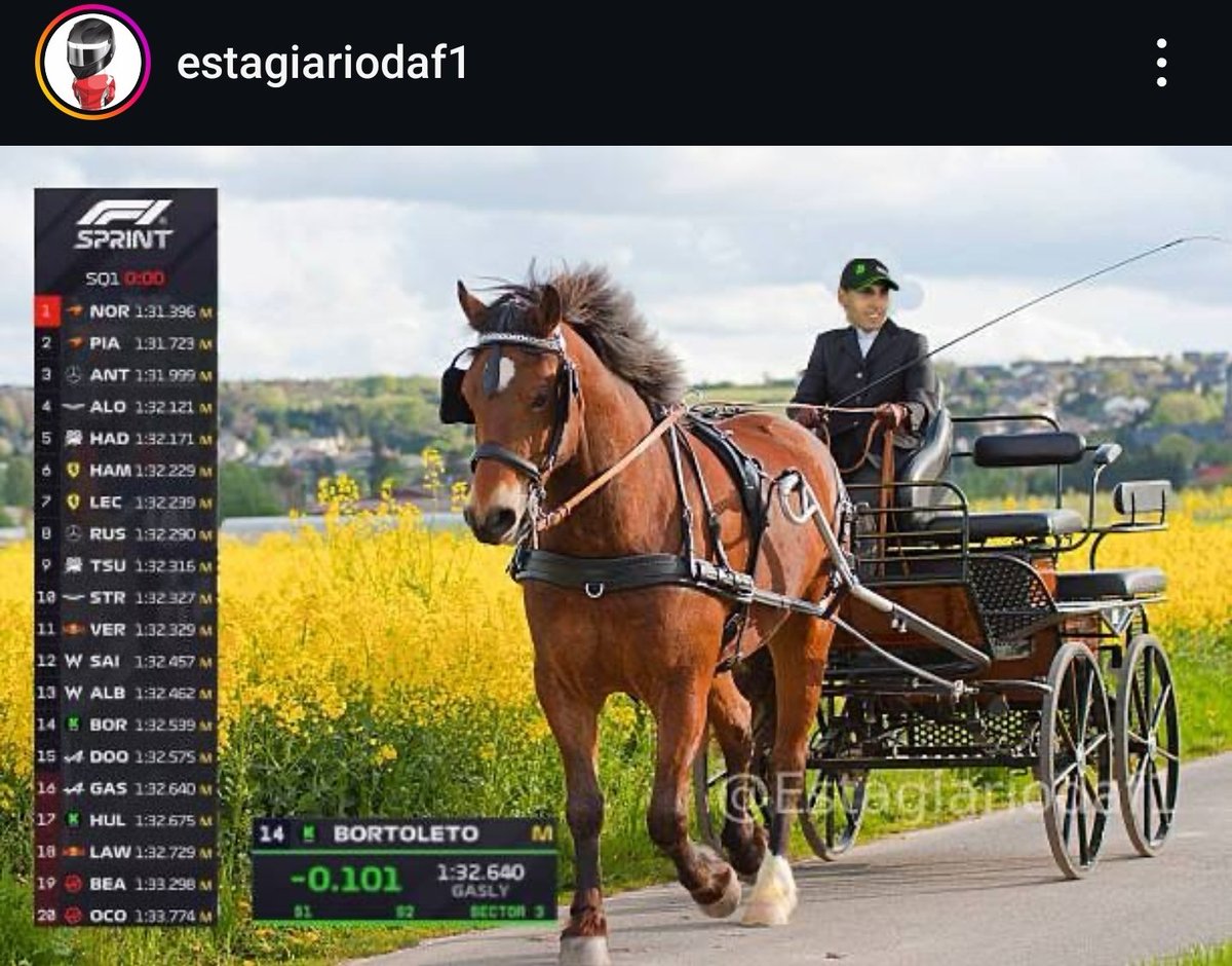 Agrisson Silva tweet media