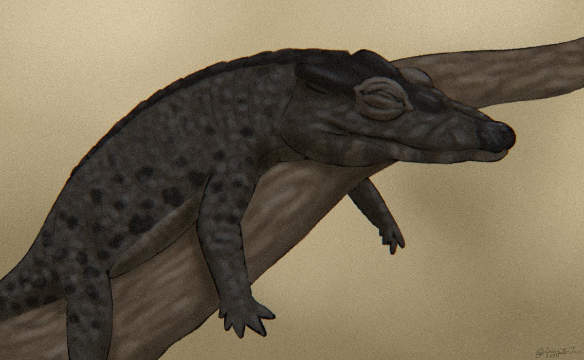 PPaleoartist's tweet photo. here's today's #Paleostream sketches!!!

today we sketched Sauroposeidon, Thescelosaurus, Vespersaurus, and Knoetschkesuchus https://t.co/MoqPV2wMyU
