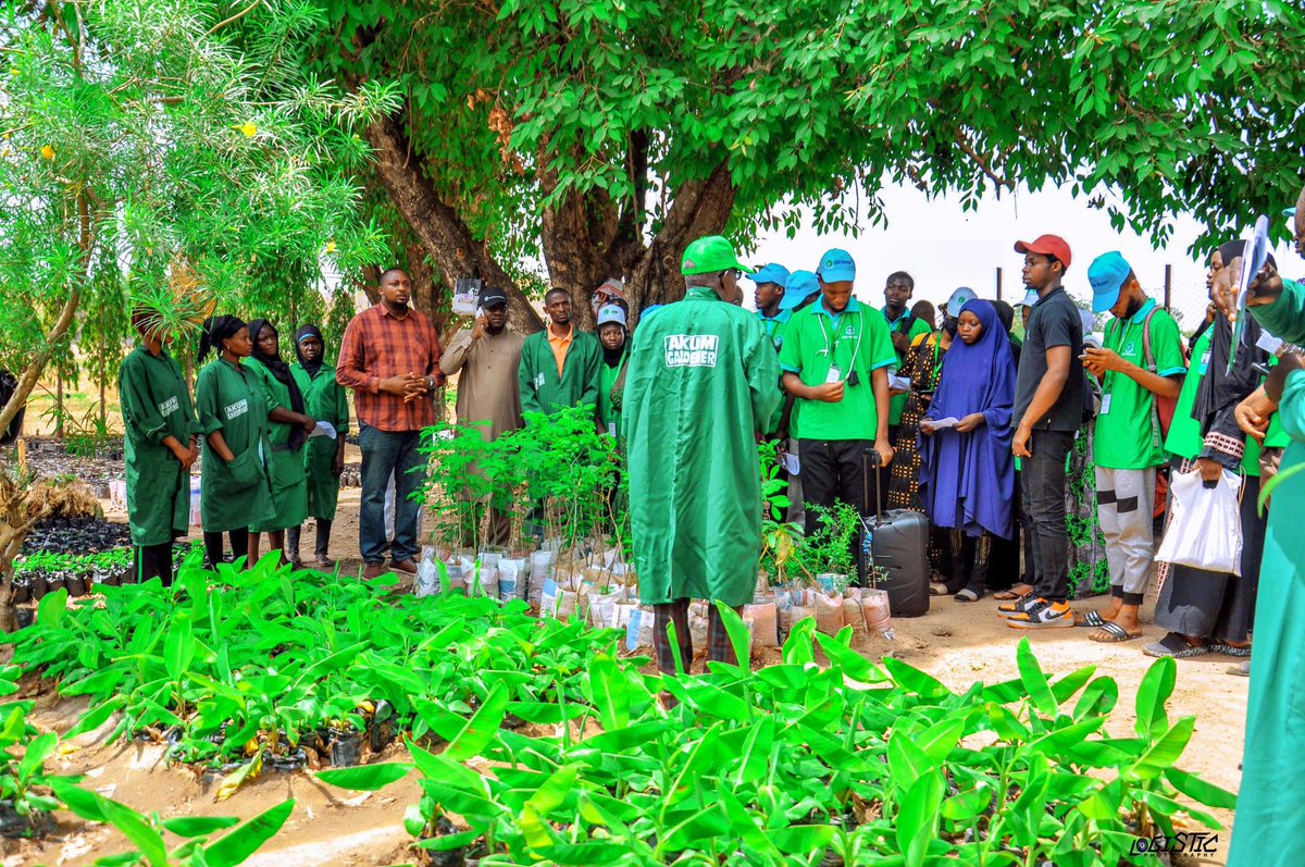 CSDevNet1's tweet image. @CSDevNet1 in collaboration with Community Development & Climate Care, marked World #Forest Day๐๐ณ๐ณ at the Green Tech HUB of Abdulkadir Kure University.
This activity took place at the ACReSal Nursery, creating an enriching experience for students.